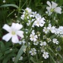 손해평가사 1차 - 재배학 및 원예작물학 이미지