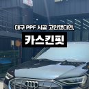 카스킨핏