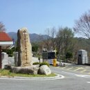 부산대동화사