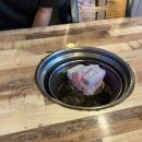 야호숯불구이 | [광주수완지구맛집]초돈숯불구이 수완지구점 솔직후기 메뉴추천/주차/영업시간
