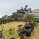 플렉스프라이빗풀빌라 이미지