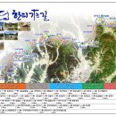 ﻿한국판 산티아고 순례길…&#39;한티(大峴) 가는 길&#39; 이미지