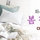화사한 이미지