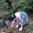 소룡리약수터 이미지