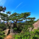 성흥산 화장실 이미지