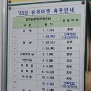 똑순이마트 이미지