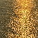 (주)이지존 | 월정투명카약 대 존 잼 곱뜰락 맛 도 리