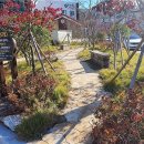 테마정원 이미지