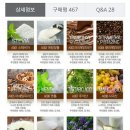 플레이버스코리아