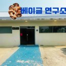 안녕 조수리 | [제주 서쪽 베이글연구소] 숨어 있어 더 매력적인 그곳, 베이글 연구소 제주빵지순례