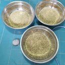 소희농장 이미지