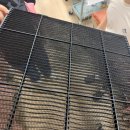 소망가정의원 이미지