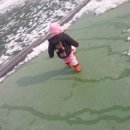 (주)방아다리 이미지