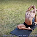 아쉬탕가 요가 이미지