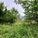 백연마을 이미지