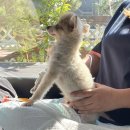 페트로 동물병원 이미지