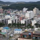 배산동물병원 이미지