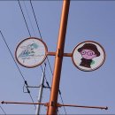 봉평메밀꽃막국수 이미지