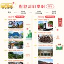 천안종합터미널 관광안내소 | 천안시, ‘2025 가을철 시티투어’ 새롭게 운영…지역 관광 활성화 기대