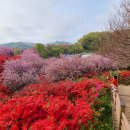 완산공원(정상) 이미지