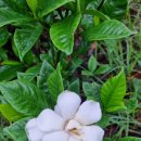 돈꿀꺽 노래연습장 이미지