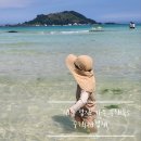 주리sea협재 | 제주 협재 에어비앤비, 아이에게 최적인 가족 숙소 벌레만 빼면 완벽