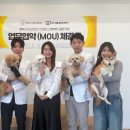 폴앤도기 이미지