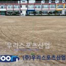 신북초등학교 이미지