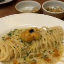 털찐강아지 이미지