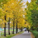 아름드리목장 이미지