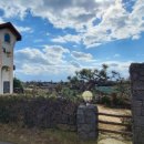 리빙워터(Living water) 이미지