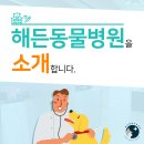해든동물병원 이미지