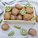 영덕무청영농조합법인 | 이베따 그린키위 10kg "상큼함에 반해버린" 대용량 수제 키위청