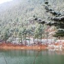 국립희리산해송자연휴양림 이미지