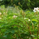 형제마을영농조합 이미지