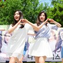 팡팡쏘아