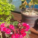 제이힐펜션 이미지