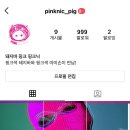 핑크닉 이미지