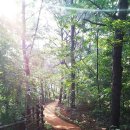 행복한요양병원 이미지