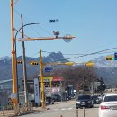 영순이네 이미지