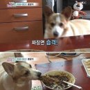 180도 가지곤 안된다. 360도 변화하자