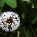 도래마을 입구 이미지