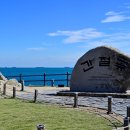 간절곶사슴농장 | 🌅혼자여행 울주군 여행 2박3일 완벽 가이드 | 일출부터 억새까지, 나만의 힐링 여행기🏔️