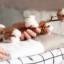 K9명동호텔 이미지