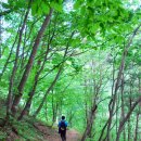 홍천(양양) 이미지