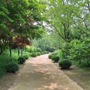 우리꽃식물원 이미지