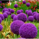 인부동산중개사무소 이미지