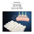 모비덤 네이버블로그