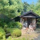 꽃섬나드리 이미지