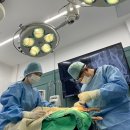 아프리카동물병원 | 평촌24시동물병원 찾으신다면 아프리카를 꼭 알고 계셔야합니다.